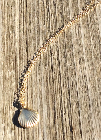 Gold Filled 17" Chain Necklace with a Shell Charm